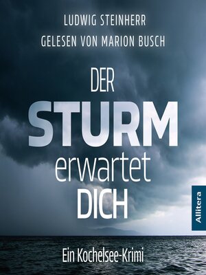 cover image of Der Sturm erwartet Dich